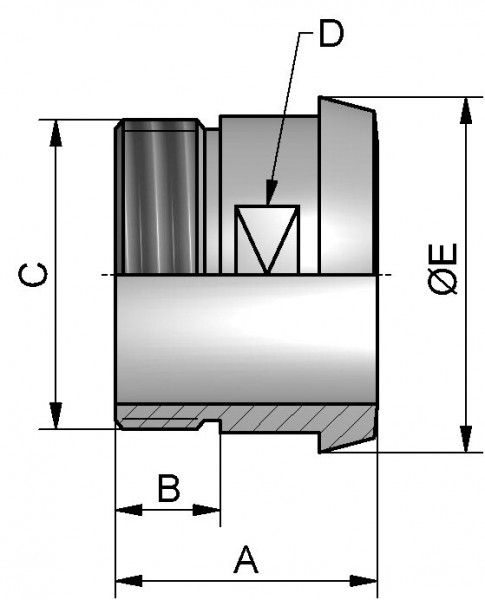 Einschraub Kegelstutzen, AISI 316L bl., DN 40 x AG 6/4", SW 44mm