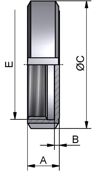 Blindmutter, FLACHDICHTEND, AISI 304 pol., DN 75/3"