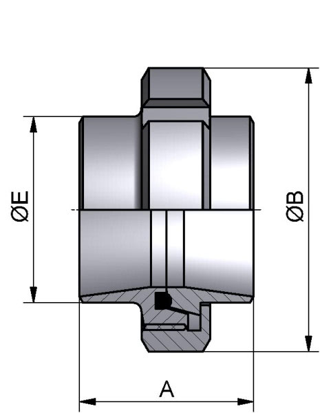 Verschraubung, ISO, AISI 316L bl., 60,3mm, NBR (PERBUNAN)