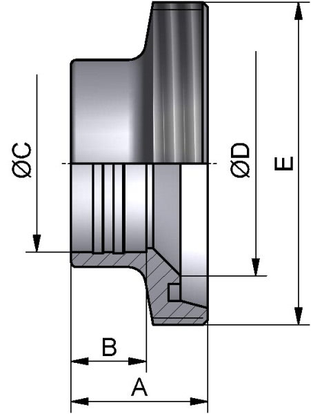 Gewindestutzen reduziert, WALZ, AISI 316L bl., DN 65/50