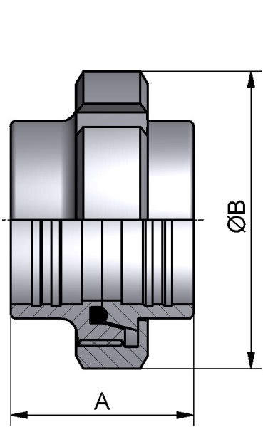 Verschraubung, WALZ, AISI 304 bl., DN 32 (34x1,5mm), NBR (PERBUNAN)